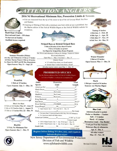 nj saltwater fishing license 2022.